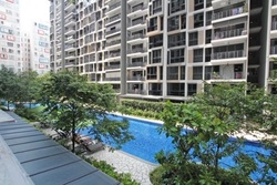 The Rainforest (D23), Condominium #245824501